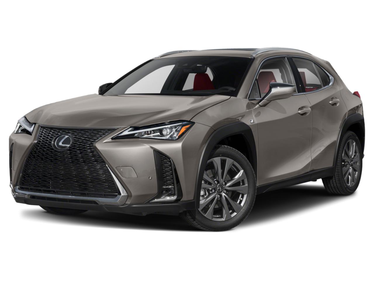2022 Lexus UX 200 Vehicle Photo in Miami, FL 33169