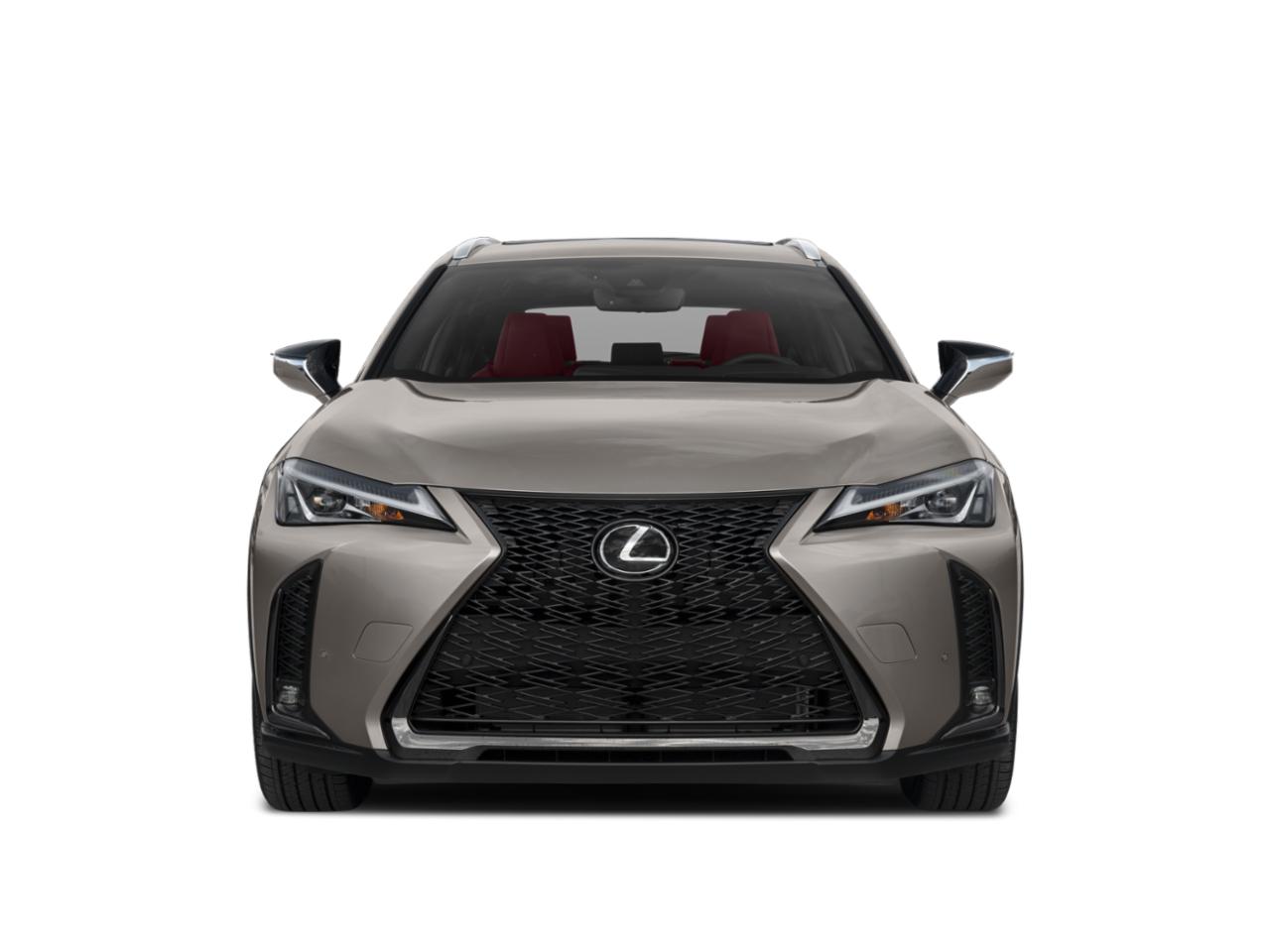 2022 Lexus UX 200 Vehicle Photo in Miami, FL 33169