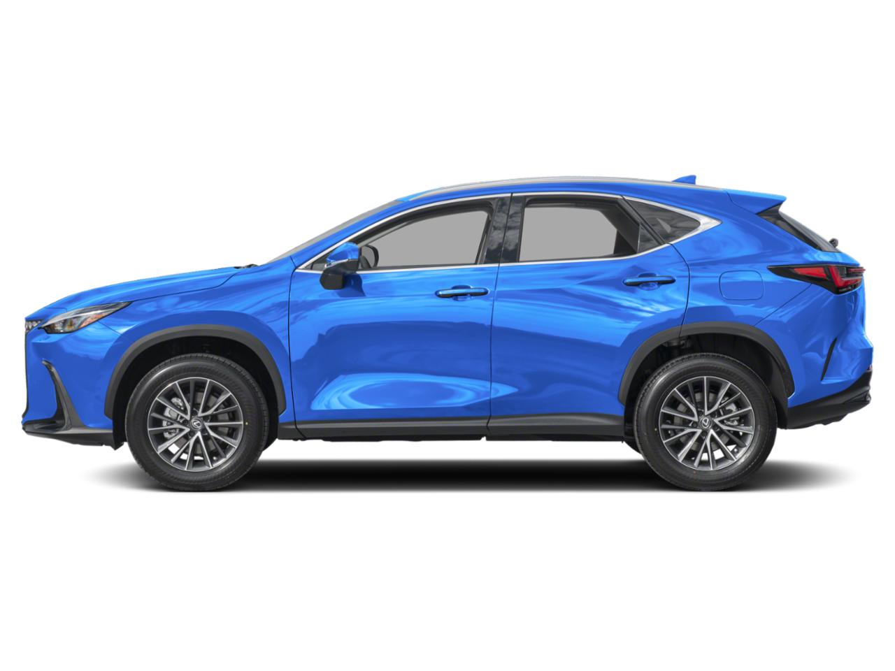 2022 Lexus NX 250 Vehicle Photo in Clearwater, FL 33761