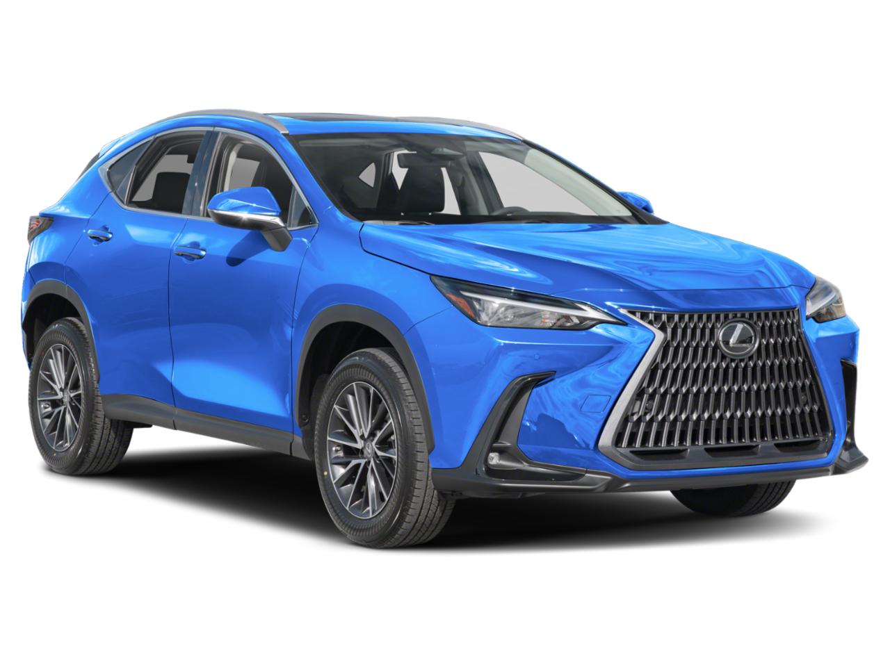 2022 Lexus NX 250 Vehicle Photo in Clearwater, FL 33761