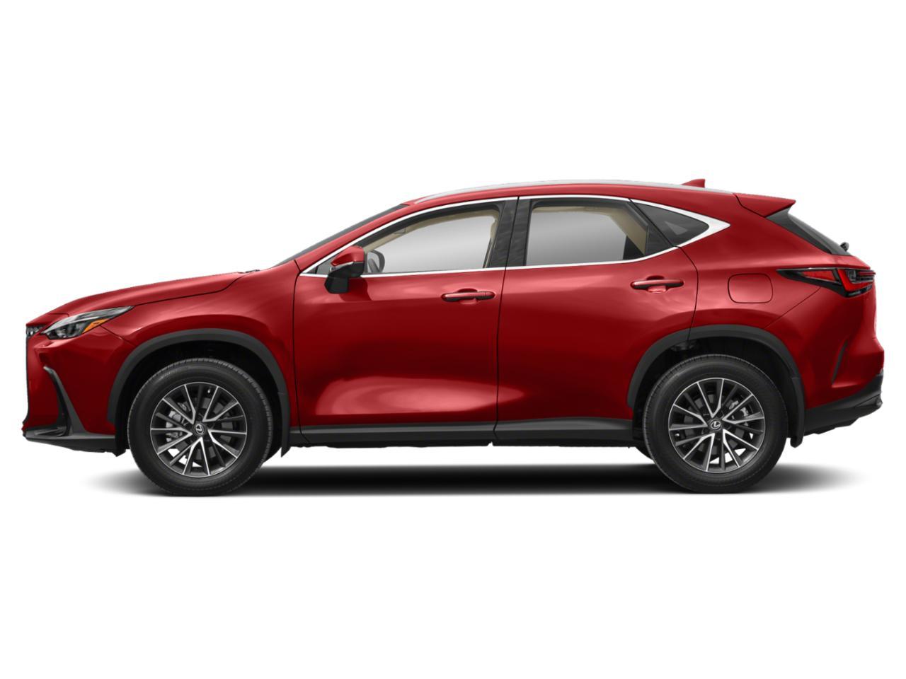 2022 Lexus NX 350 Vehicle Photo in Clearwater, FL 33761