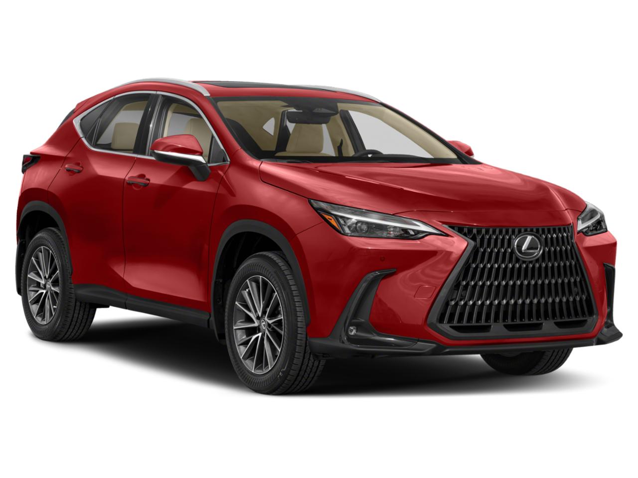 2022 Lexus NX 350 Vehicle Photo in Clearwater, FL 33761