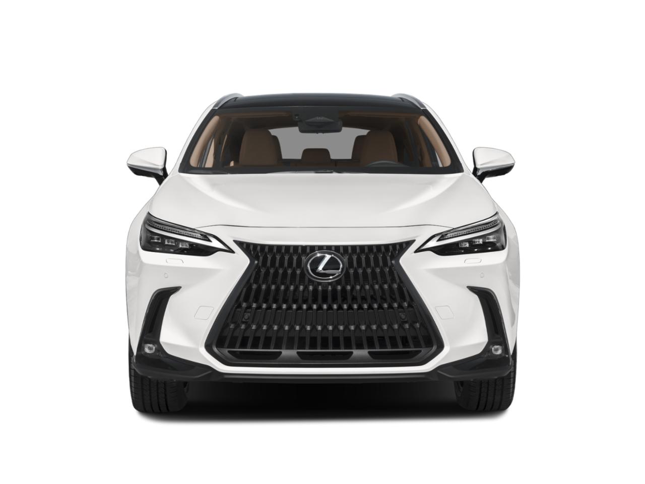 2022 Lexus NX 350h Vehicle Photo in Tampa, FL 33614