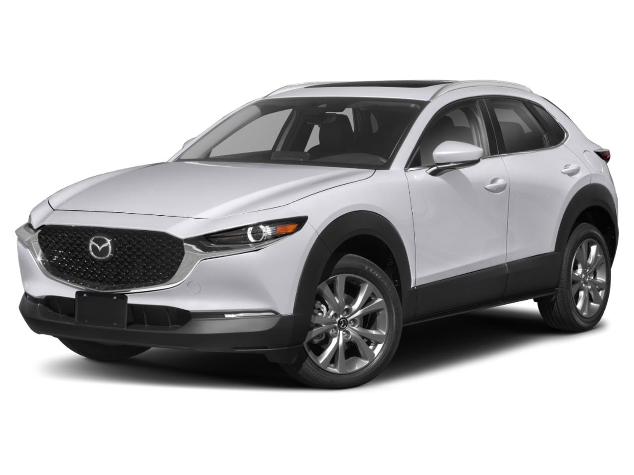 2022 Mazda CX-30 Vehicle Photo in Tampa, FL 33614