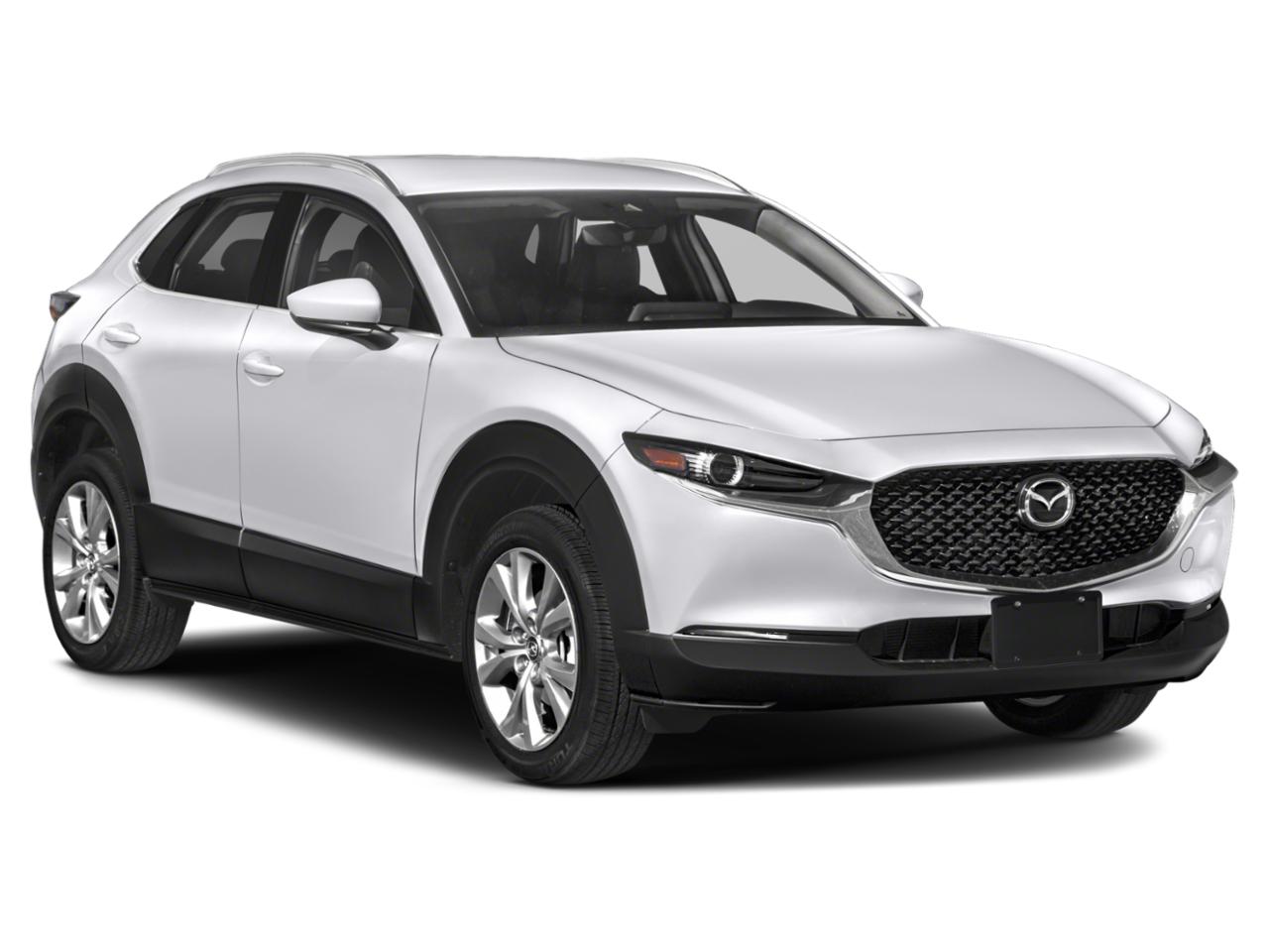 2022 Mazda CX-30 Vehicle Photo in SELMA, TX 78154-1460