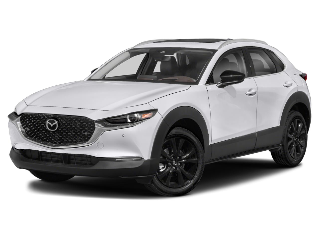 2022 Mazda CX-30 Vehicle Photo in Green Bay, WI 54304