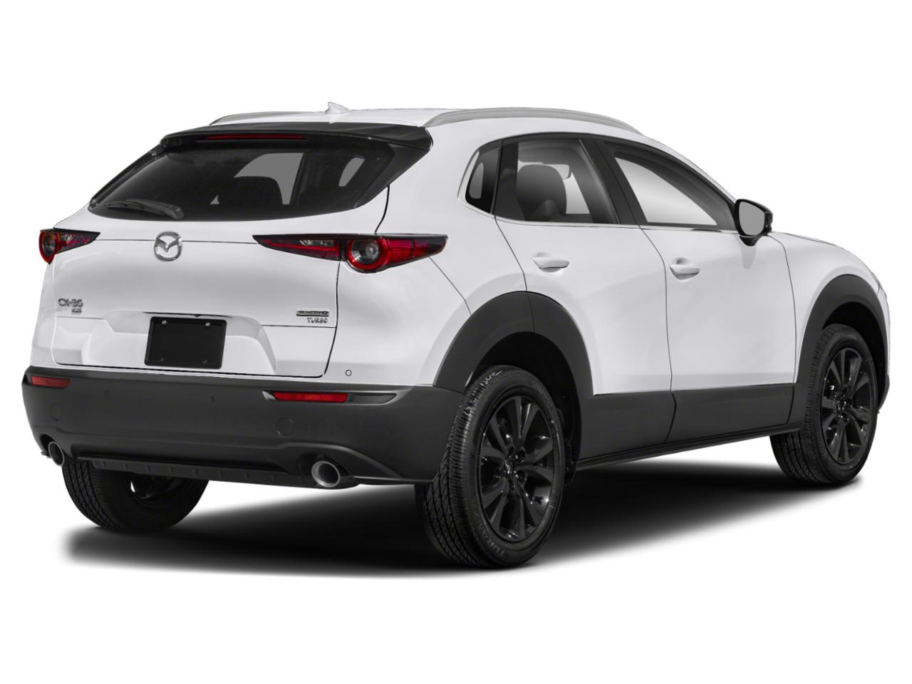 2022 Mazda CX-30 Vehicle Photo in Green Bay, WI 54304