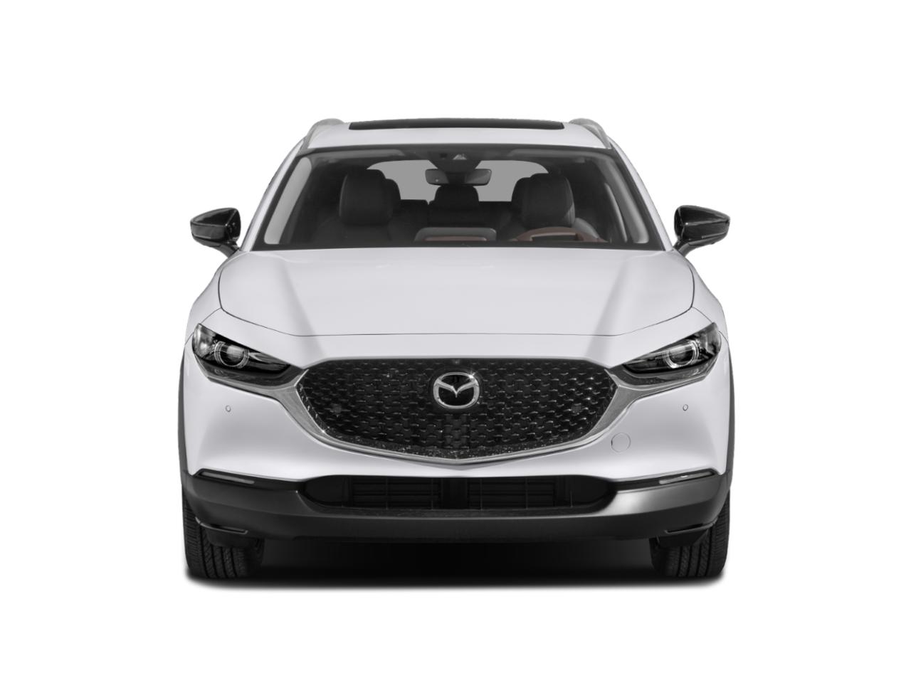 2022 Mazda CX-30 Vehicle Photo in Green Bay, WI 54304