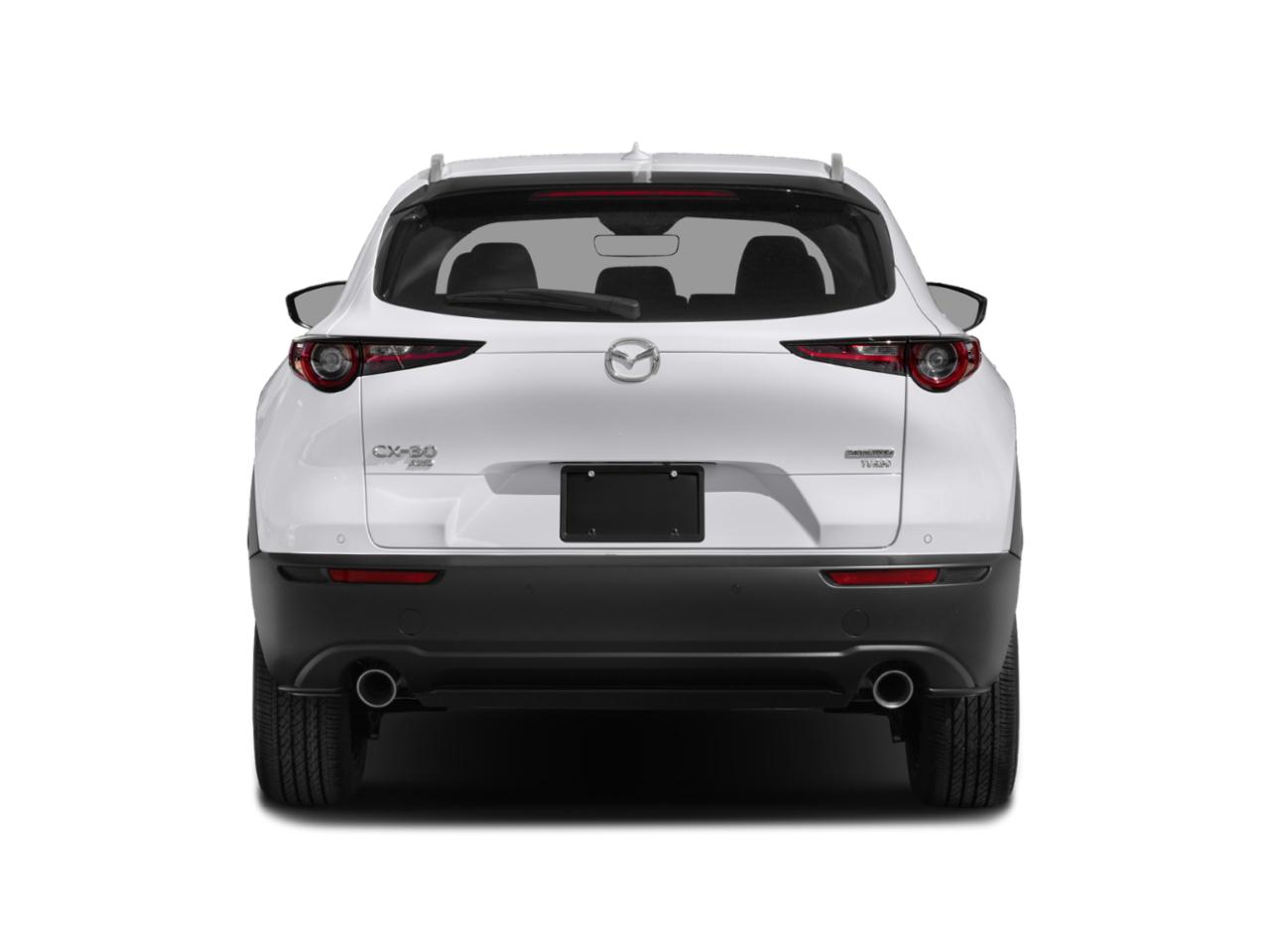 2022 Mazda CX-30 Vehicle Photo in Green Bay, WI 54304