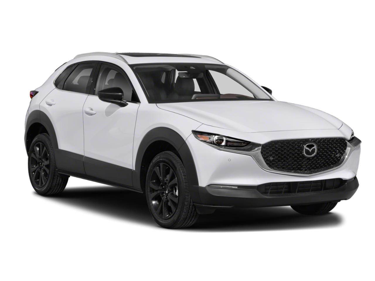 2022 Mazda CX-30 Vehicle Photo in Green Bay, WI 54304