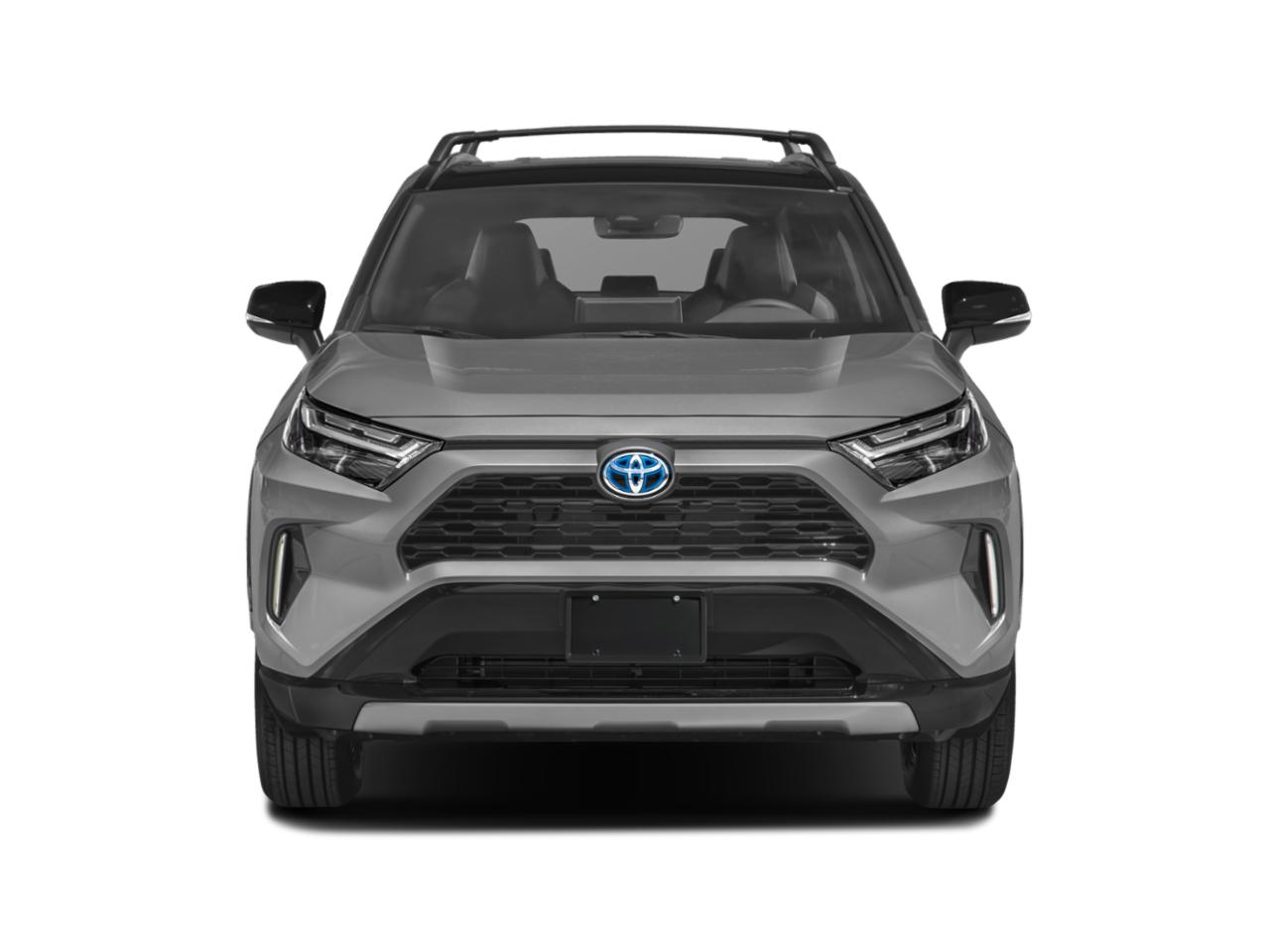 2022 Toyota RAV4 Vehicle Photo in Sanford, FL 32771