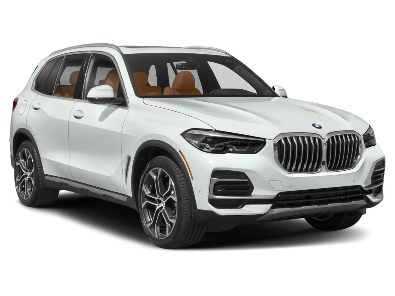 2023 BMW X5 xDrive40i Vehicle Photo in Appleton, WI 54913