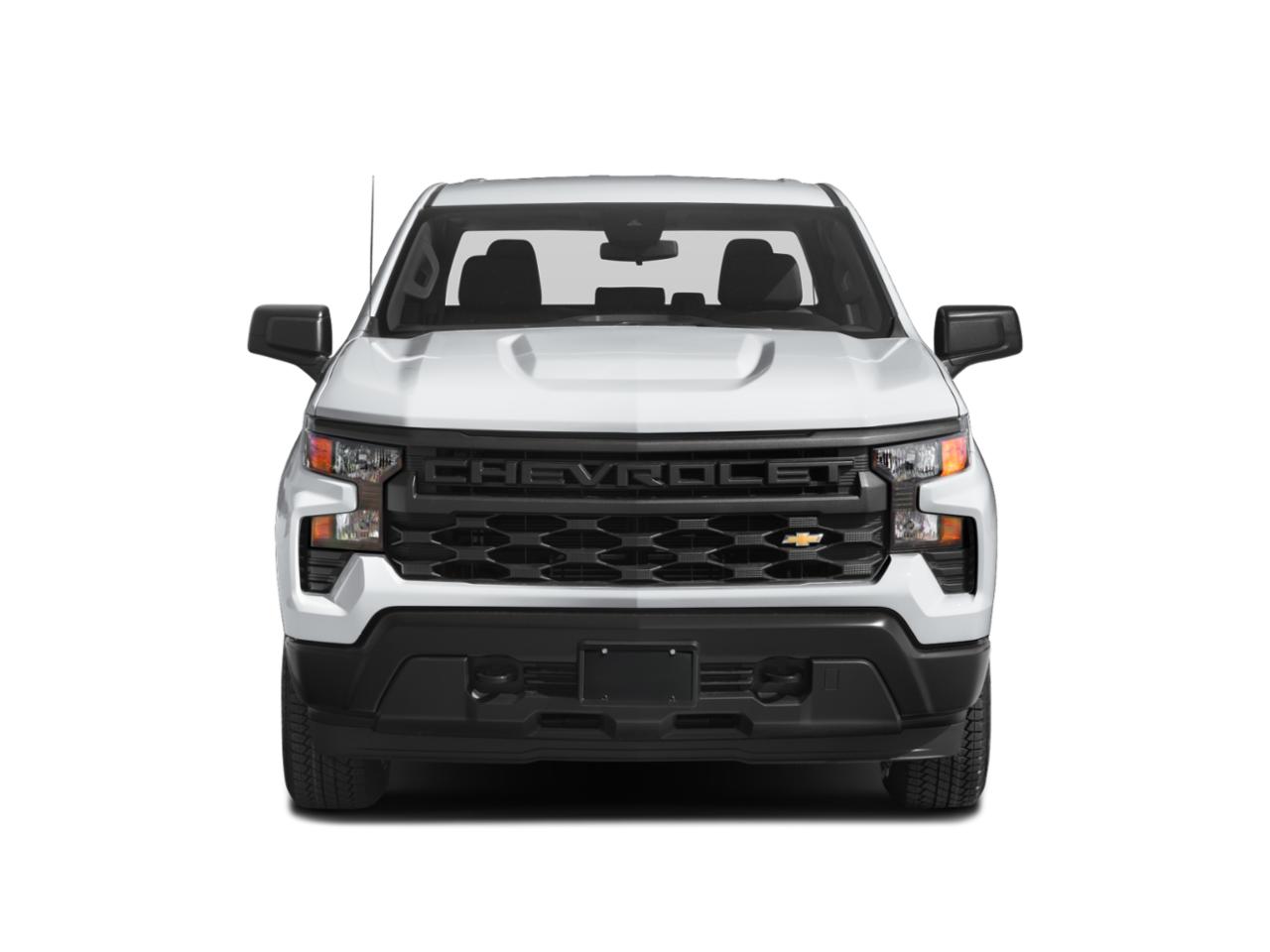 2023 Chevrolet Silverado 1500 Vehicle Photo in Doylsetown, PA 18901