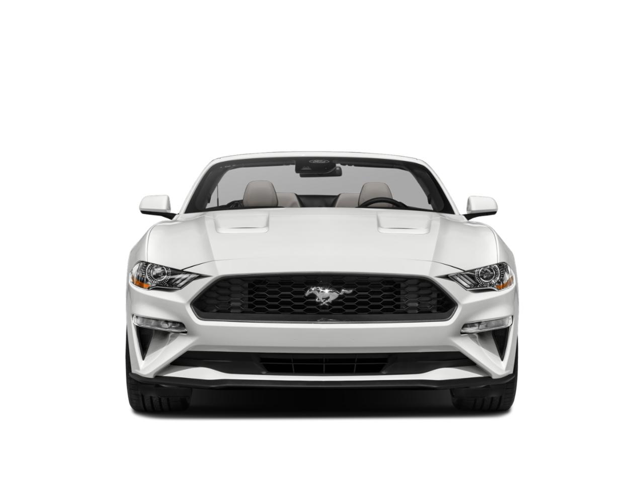 2023 Ford Mustang Vehicle Photo in Miami, FL 33015