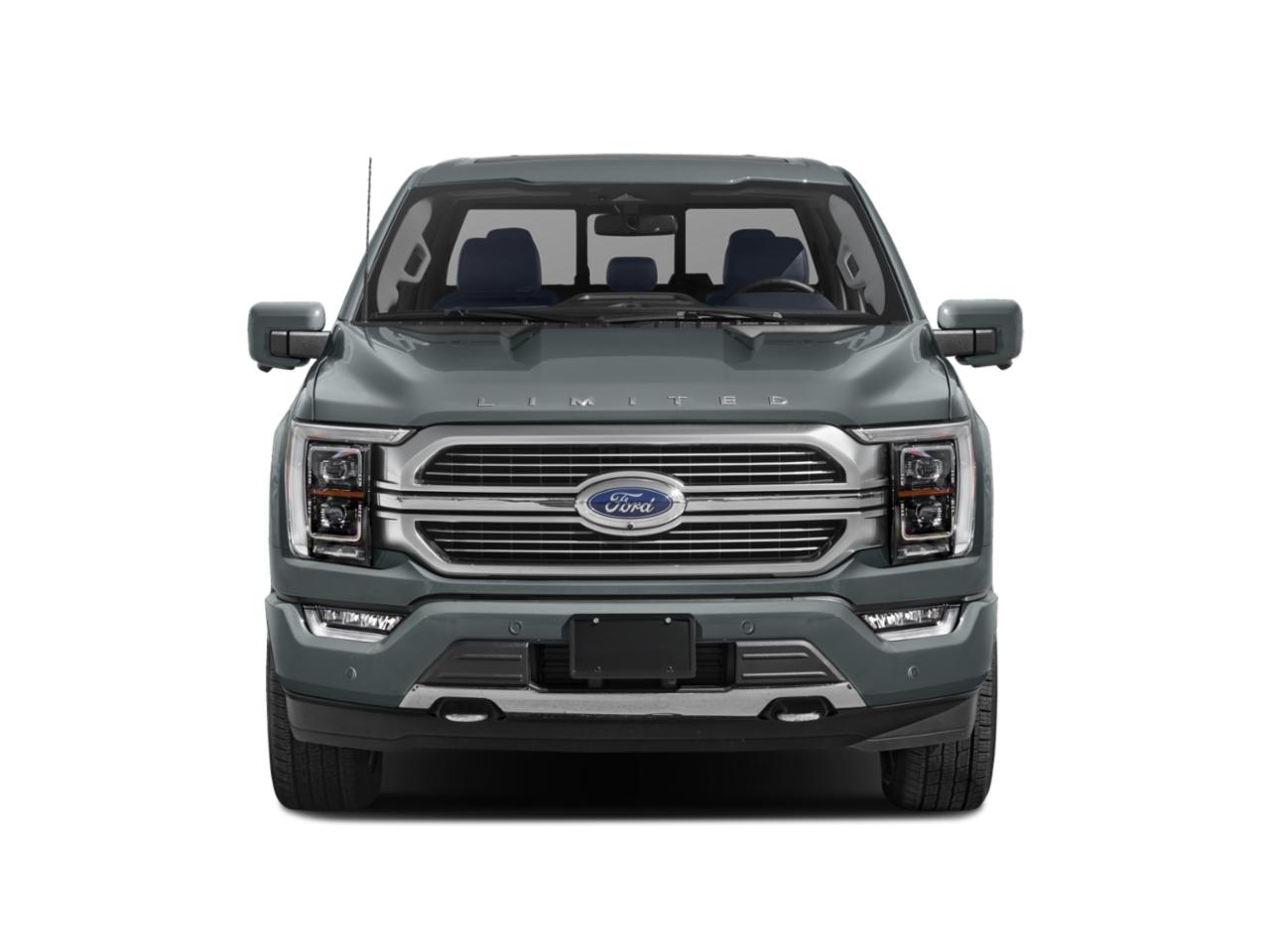 2023 Ford F-150 Vehicle Photo in Panama City, FL 32401