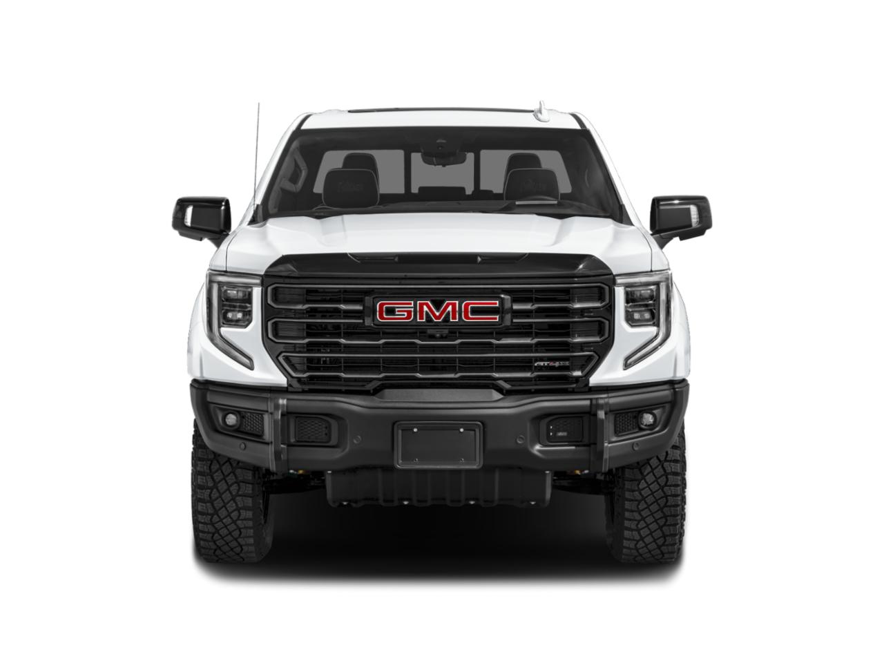 2023 GMC Sierra 1500 Vehicle Photo in SELMA, TX 78154-1459