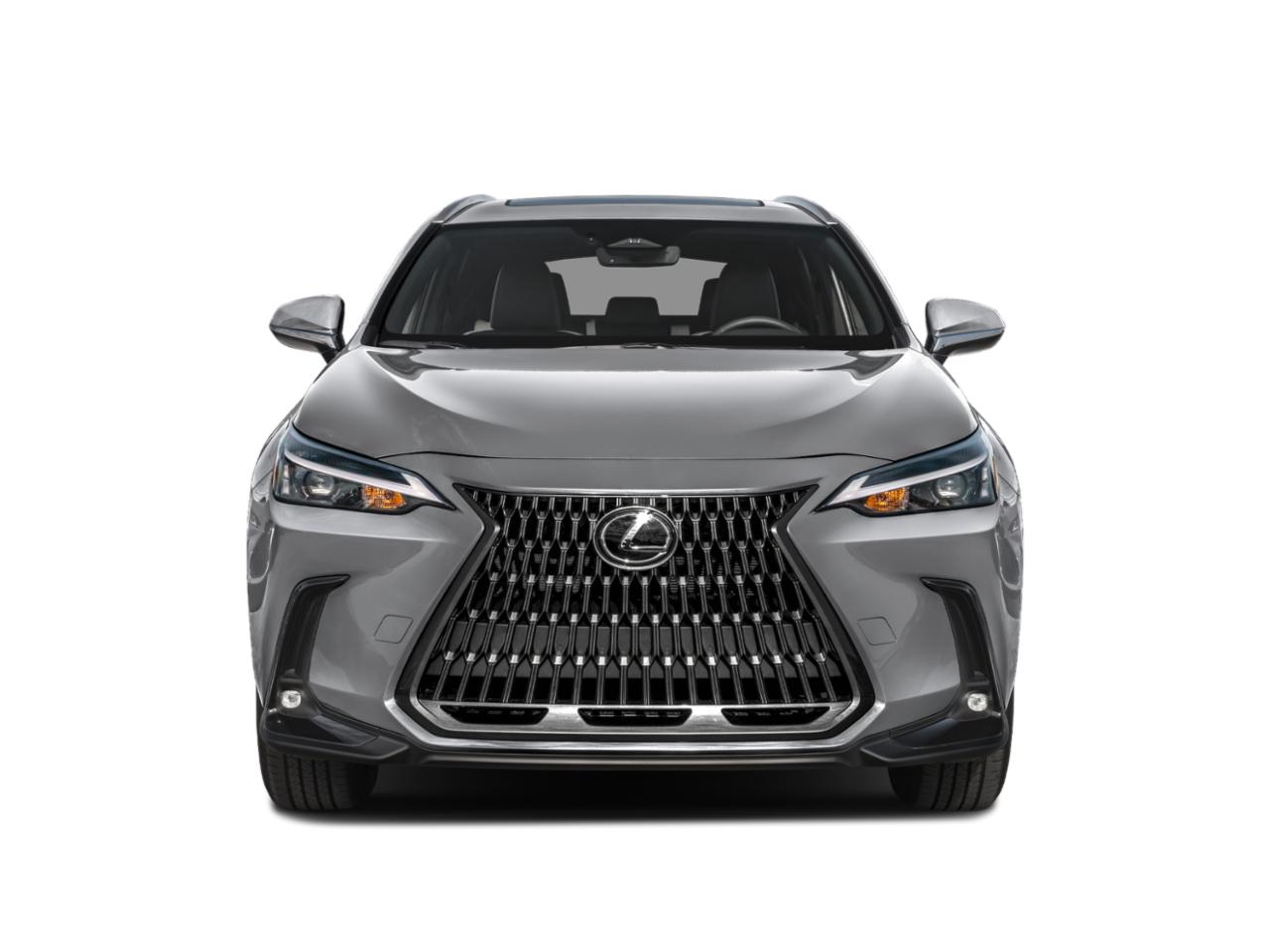 2023 Lexus NX 250 Vehicle Photo in Clearwater, FL 33761