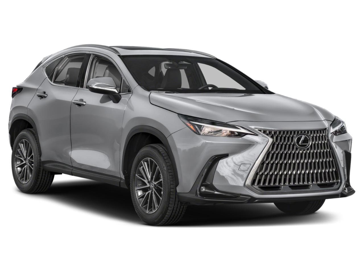 2023 Lexus NX 250 Vehicle Photo in Clearwater, FL 33761