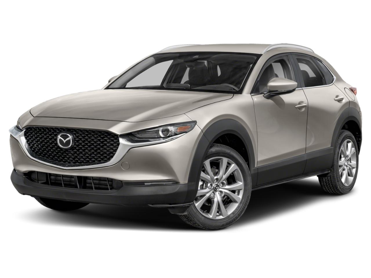 2023 Mazda CX-30 Vehicle Photo in Green Bay, WI 54304