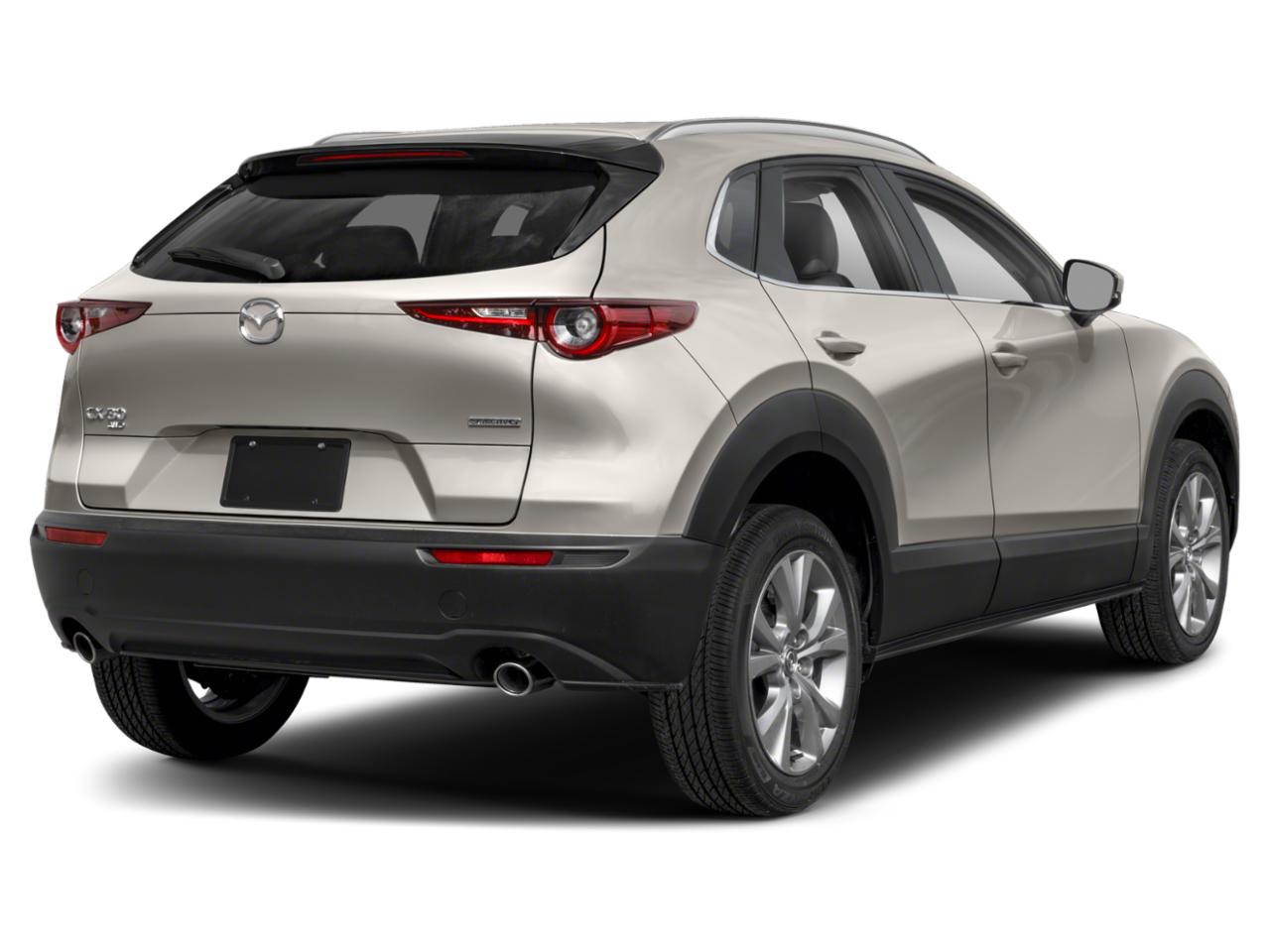 2023 Mazda CX-30 Vehicle Photo in Green Bay, WI 54304