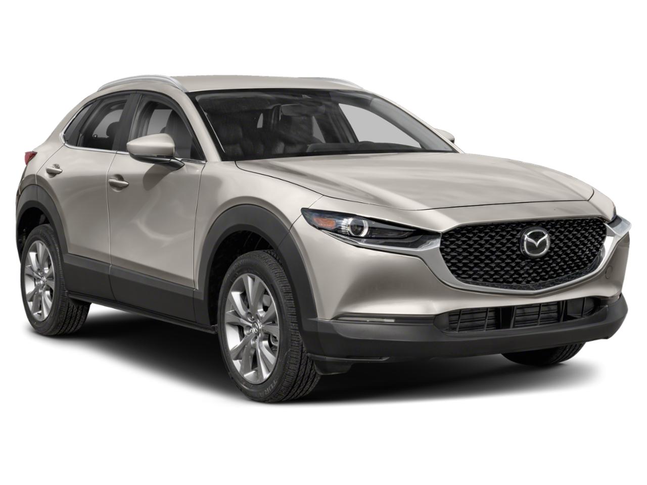 2023 Mazda CX-30 Vehicle Photo in Green Bay, WI 54304