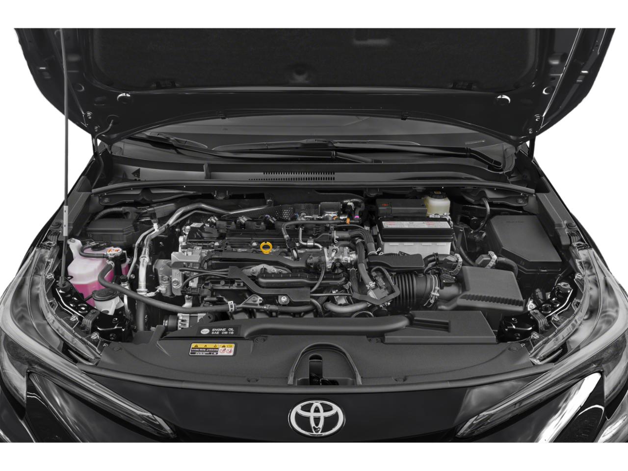 2023 Toyota Corolla Vehicle Photo in St. Petersburg, FL 33713