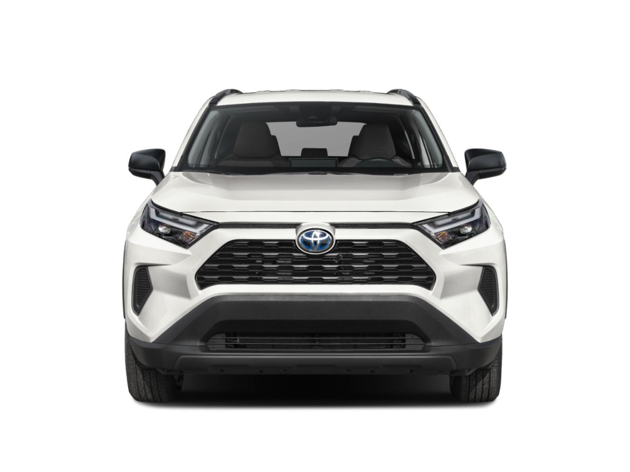 2023 Toyota RAV4 Vehicle Photo in Pinellas Park , FL 33781