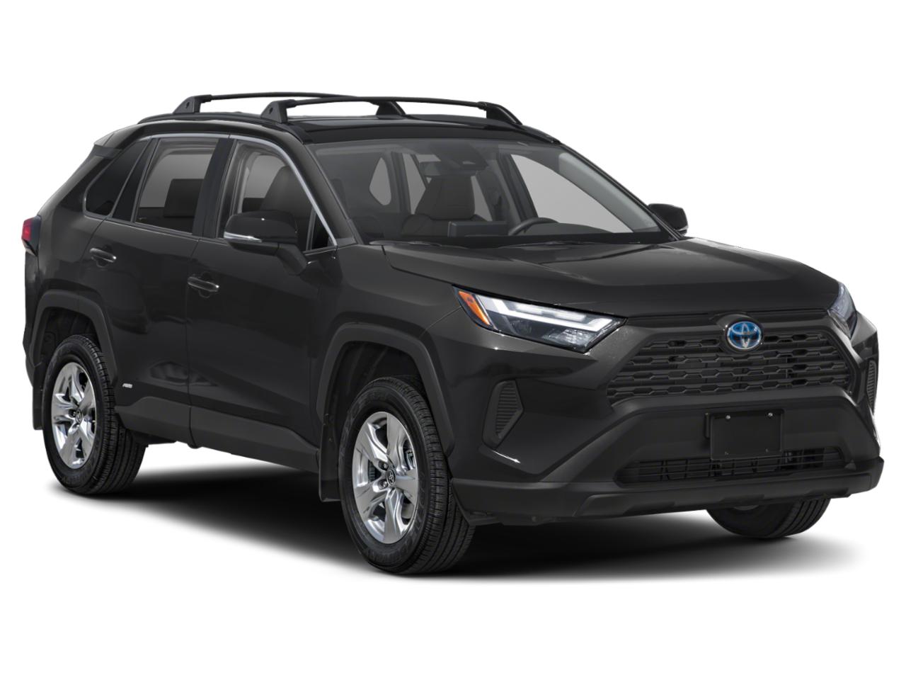 2023 Toyota RAV4 Vehicle Photo in Clearwater, FL 33761