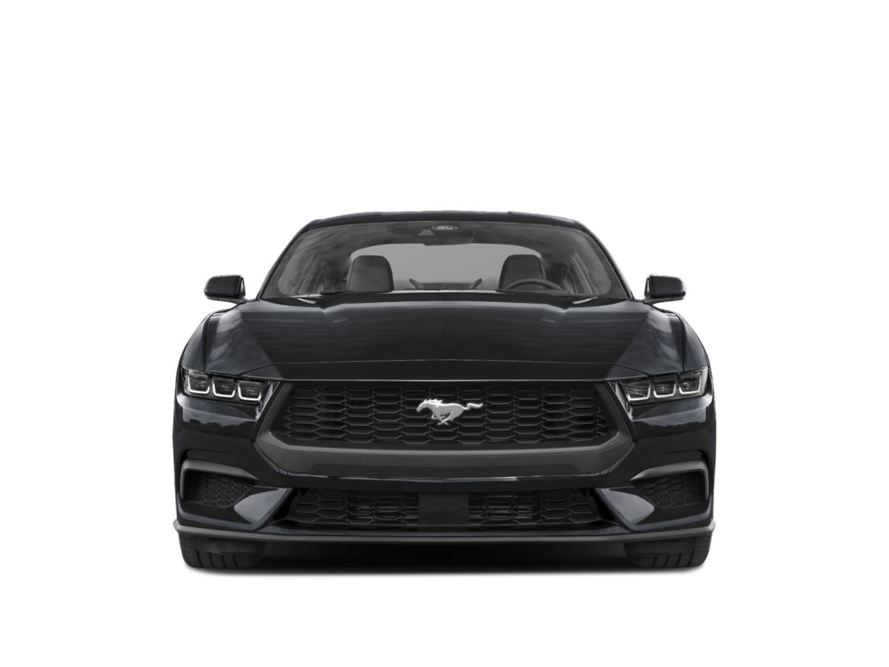 2024 Ford Mustang Vehicle Photo in St. Petersburg, FL 33713