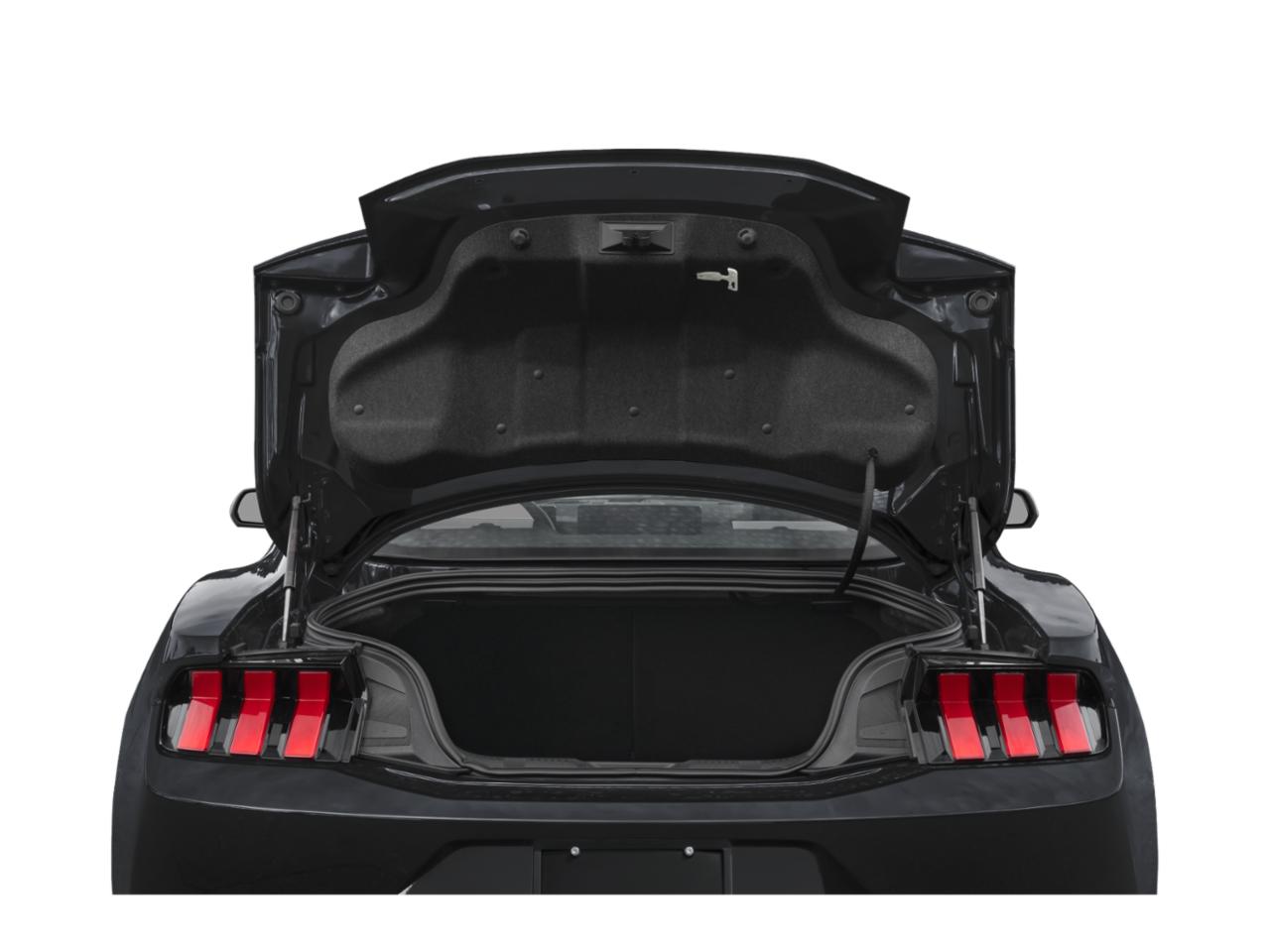 2024 Ford Mustang Vehicle Photo in Decatur, TX 76234