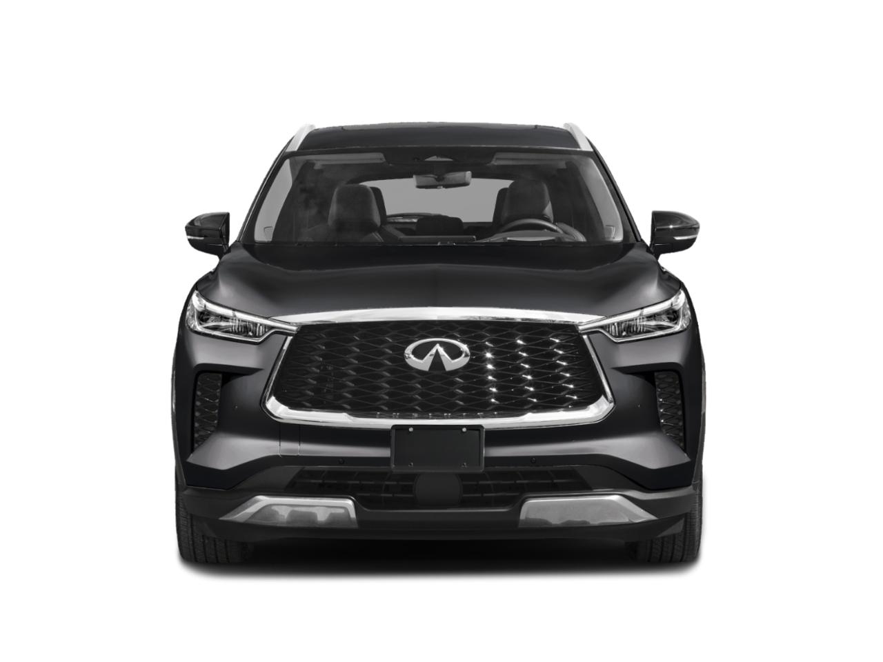 2024 INFINITI QX60 Vehicle Photo in Willow Grove, PA 19090