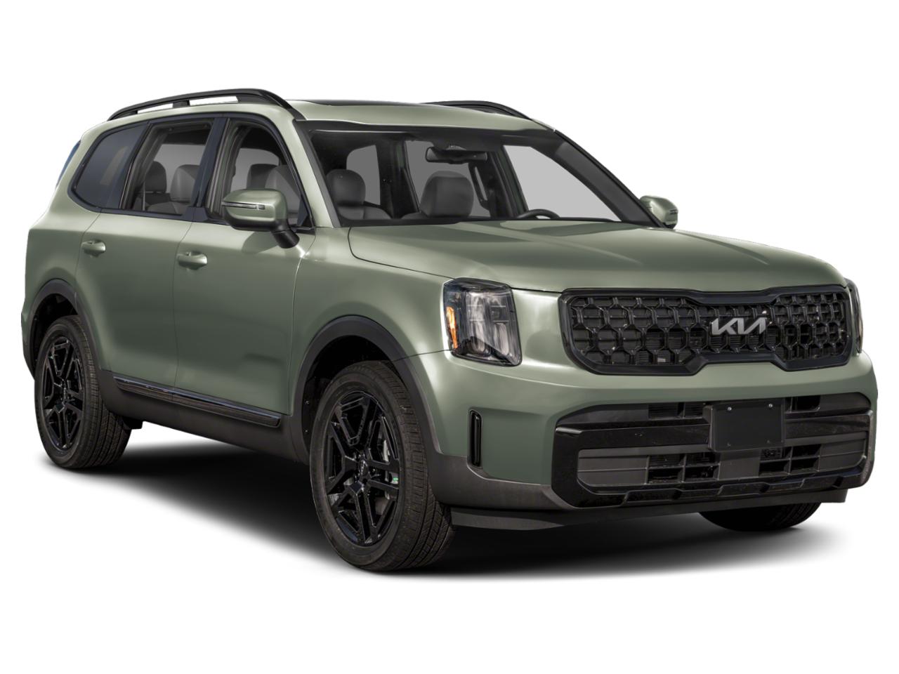 2024 Kia Telluride Vehicle Photo in Maitland, FL 32751