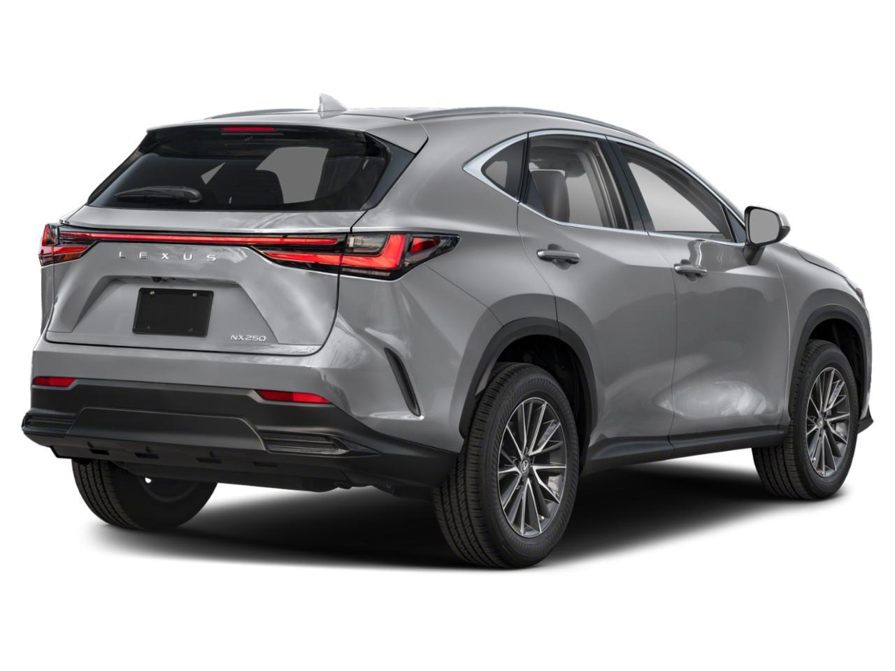 2024 Lexus NX 250 Vehicle Photo in Tampa, FL 33614