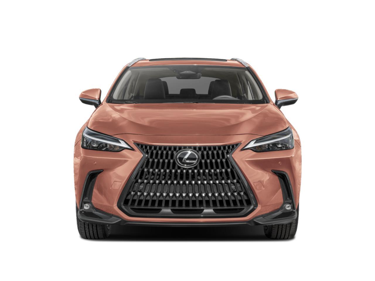 2024 Lexus NX Vehicle Photo in GILBERT, AZ 85297-0446