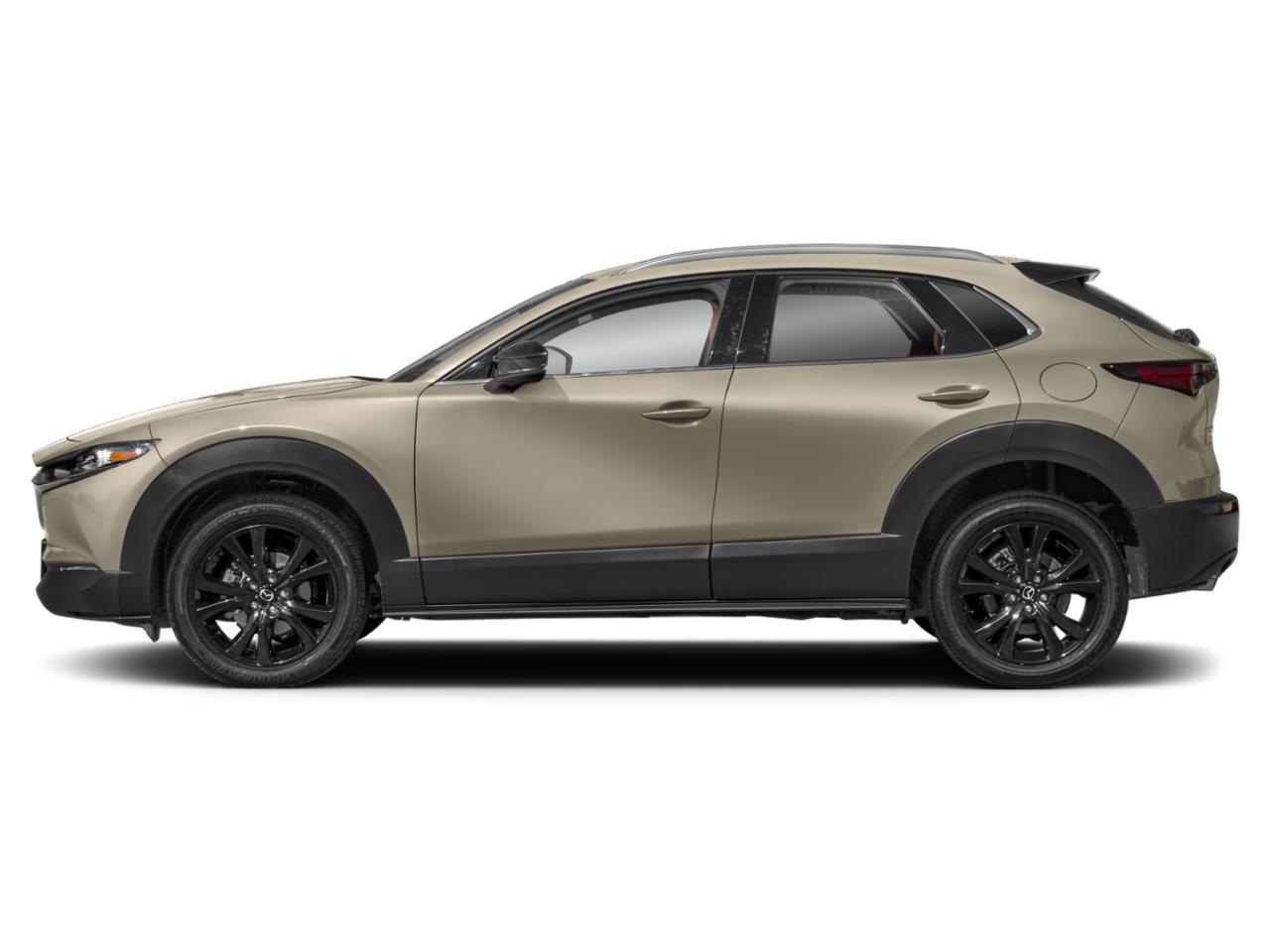 2024 Mazda CX-30 Vehicle Photo in Appleton, WI 54913