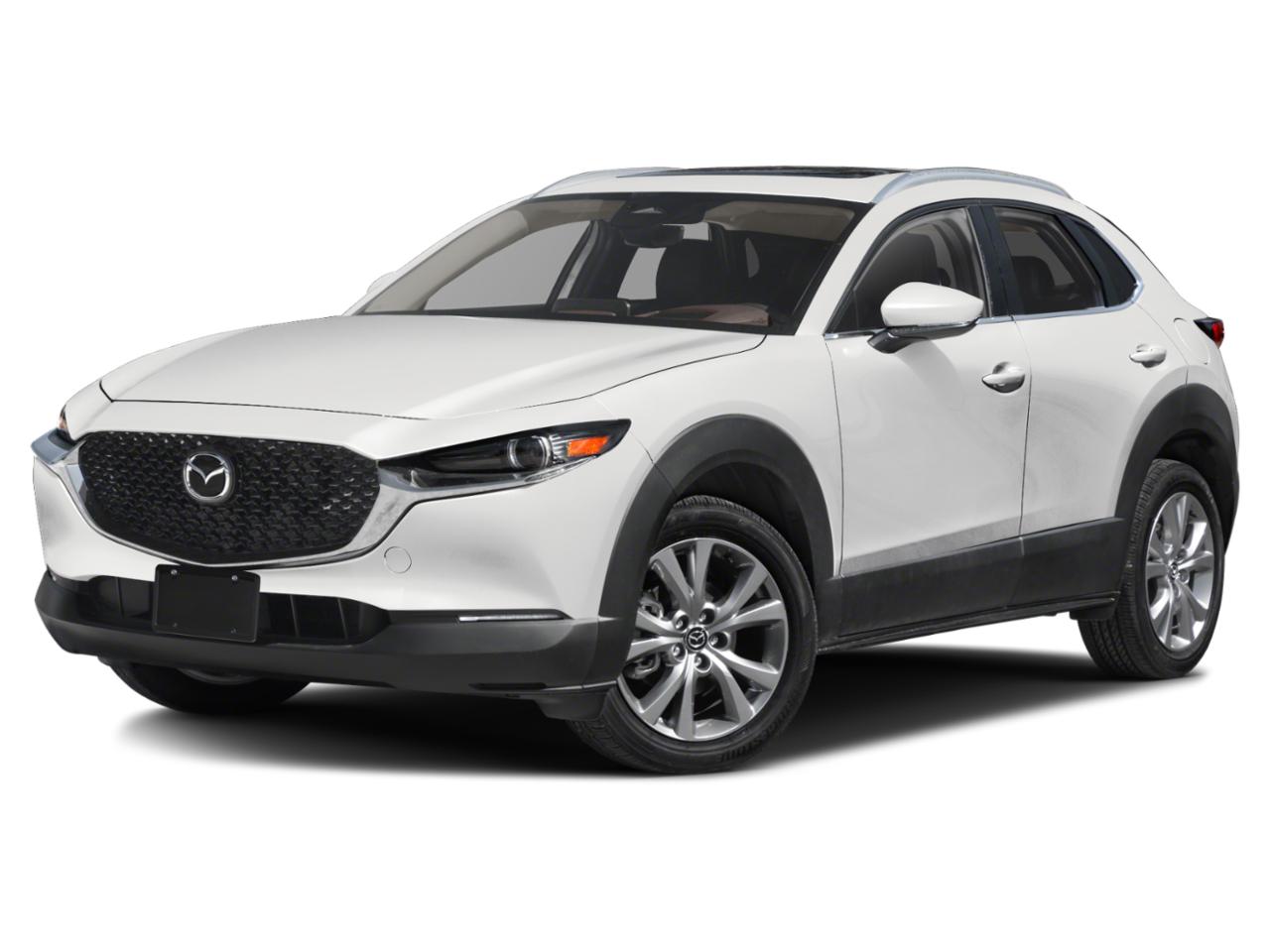 2024 Mazda CX-30 Vehicle Photo in Appleton, WI 54913