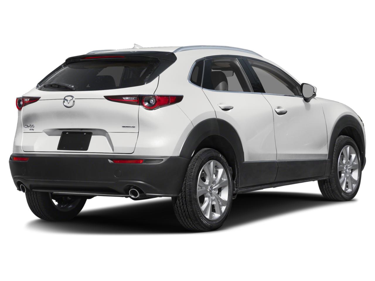 2024 Mazda CX-30 Vehicle Photo in Clearwater, FL 33764