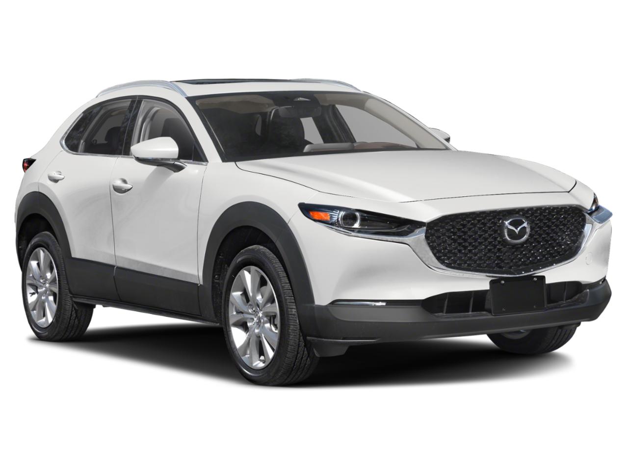 2024 Mazda CX-30 Vehicle Photo in Clearwater, FL 33764