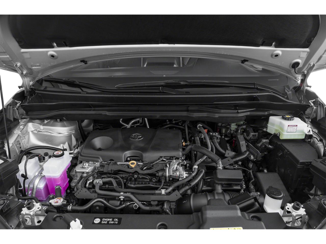 2024 Toyota Sienna Vehicle Photo in Tampa, FL 33612