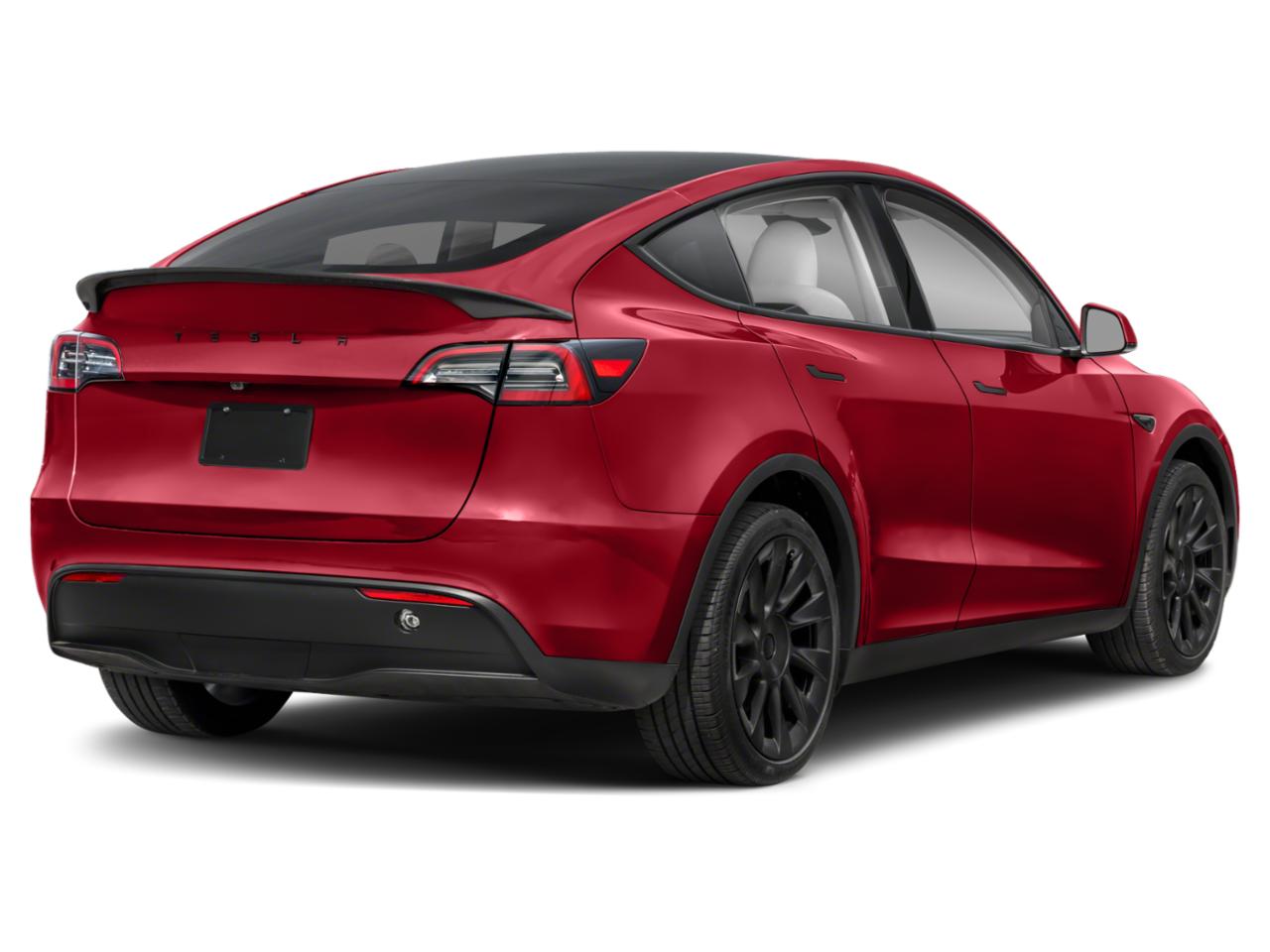 2024 Tesla Model Y Vehicle Photo in Orlando, FL 32811