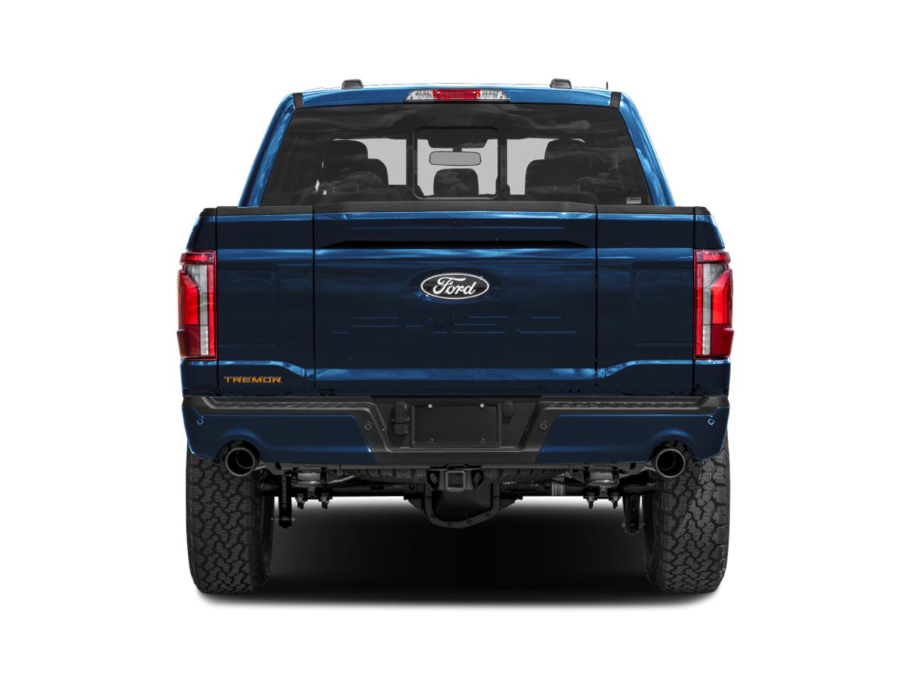 2025 Ford F-150 Vehicle Photo in Ogallala, NE 69153