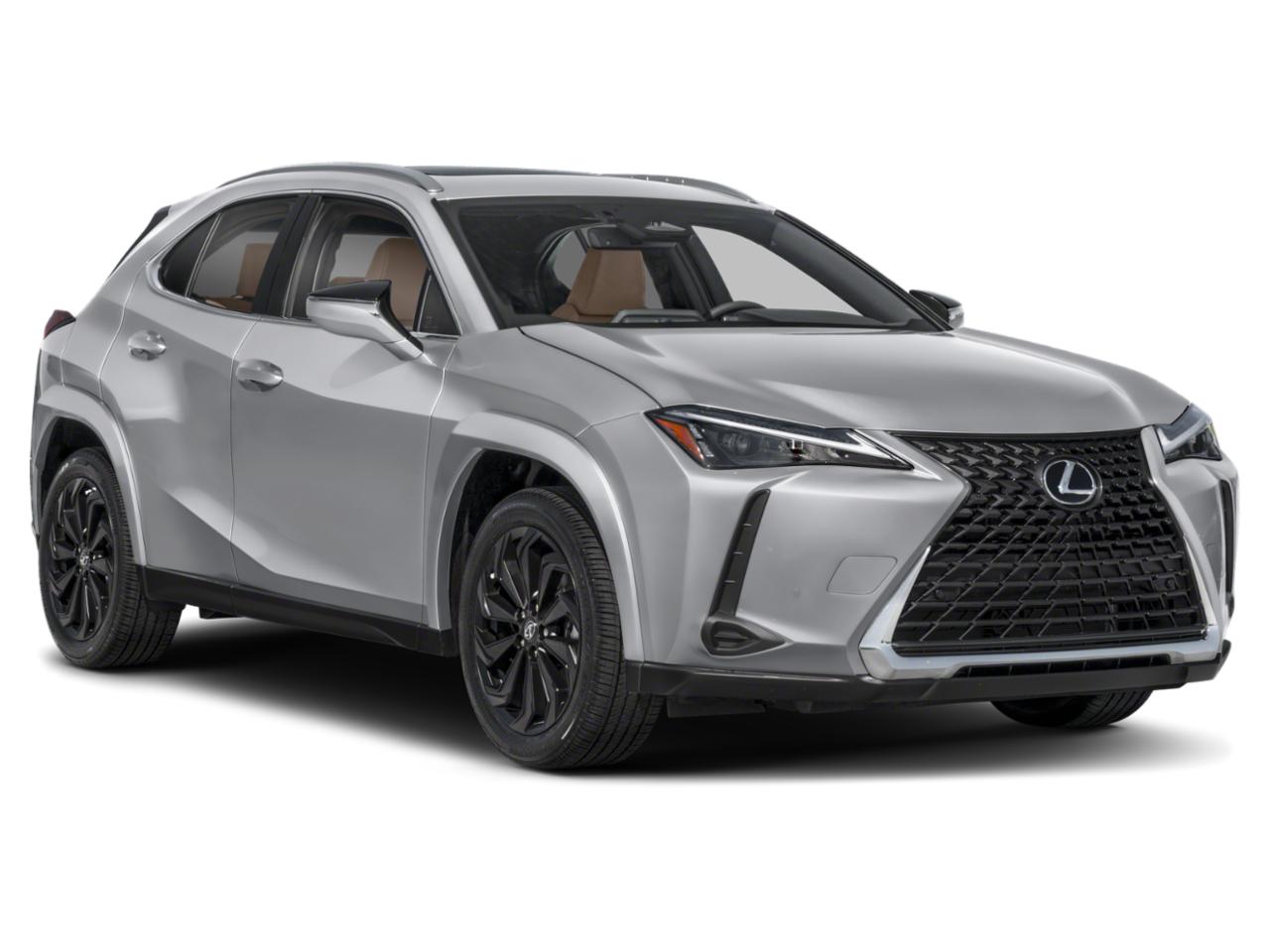 2025 Lexus UX 300h Vehicle Photo in West Palm Beach, FL 33417