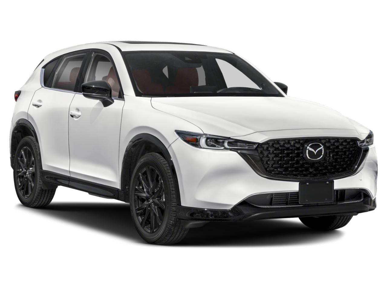 2025 Mazda CX-5 Vehicle Photo in Appleton, WI 54913