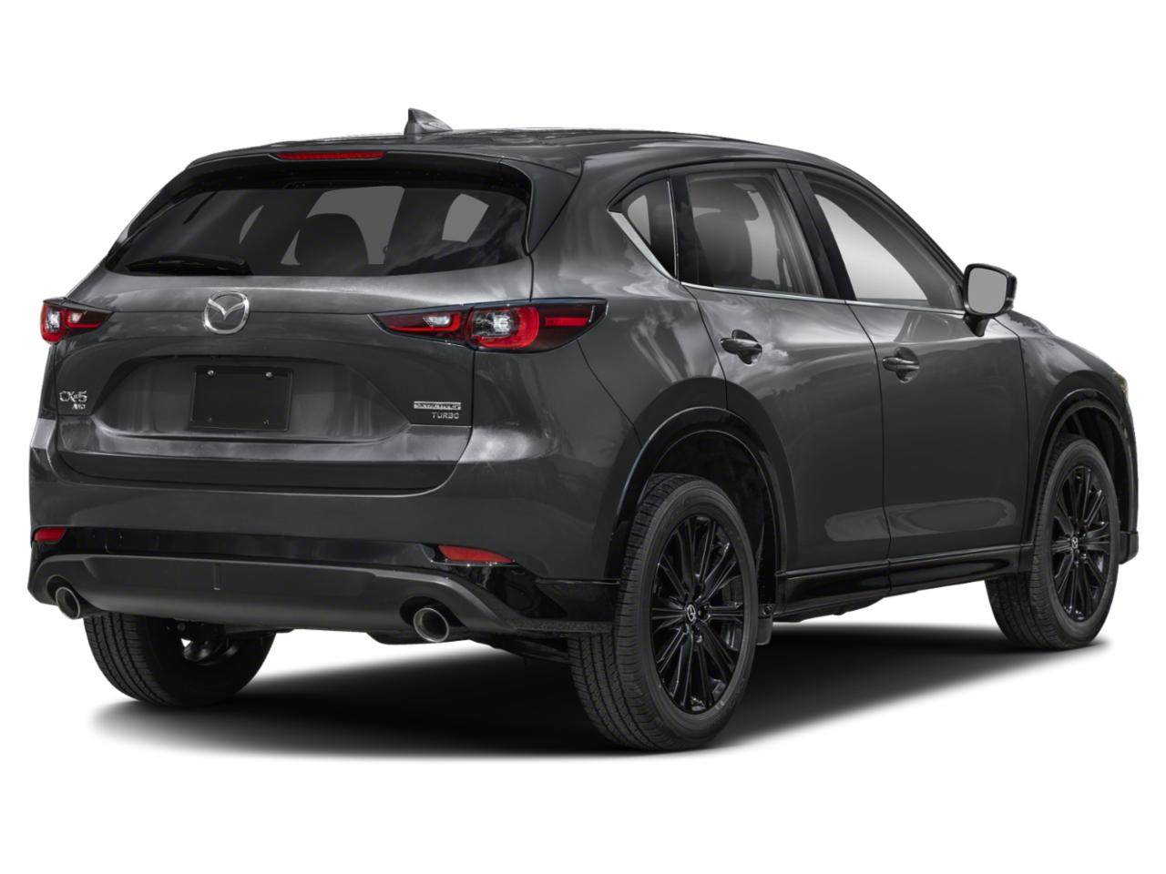 2025 Mazda CX-5 Vehicle Photo in Green Bay, WI 54304