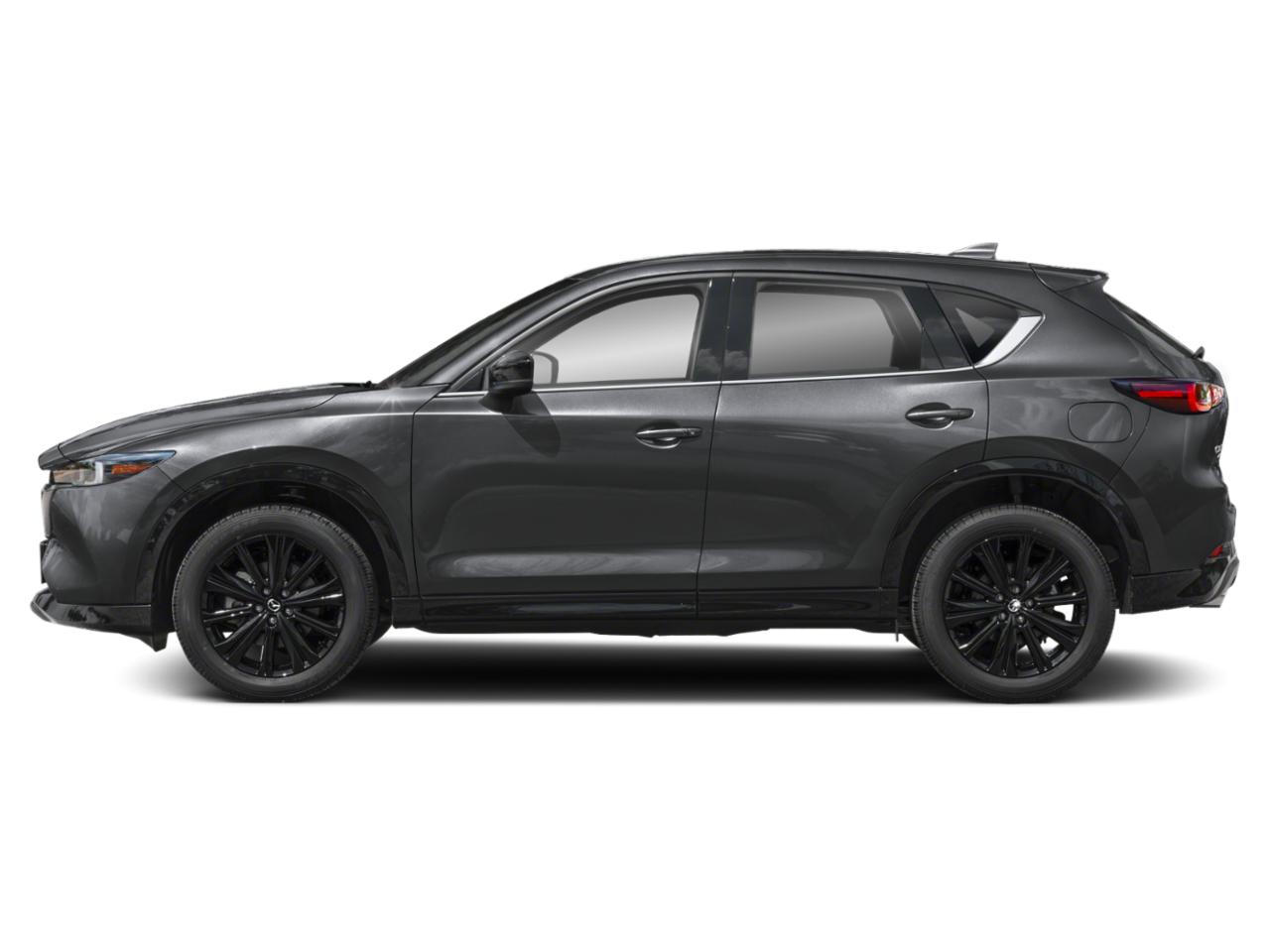 2025 Mazda CX-5 Vehicle Photo in Appleton, WI 54913