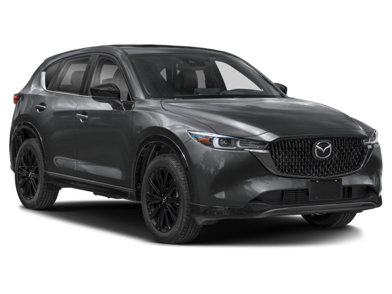 2025 Mazda CX-5 Vehicle Photo in Appleton, WI 54913