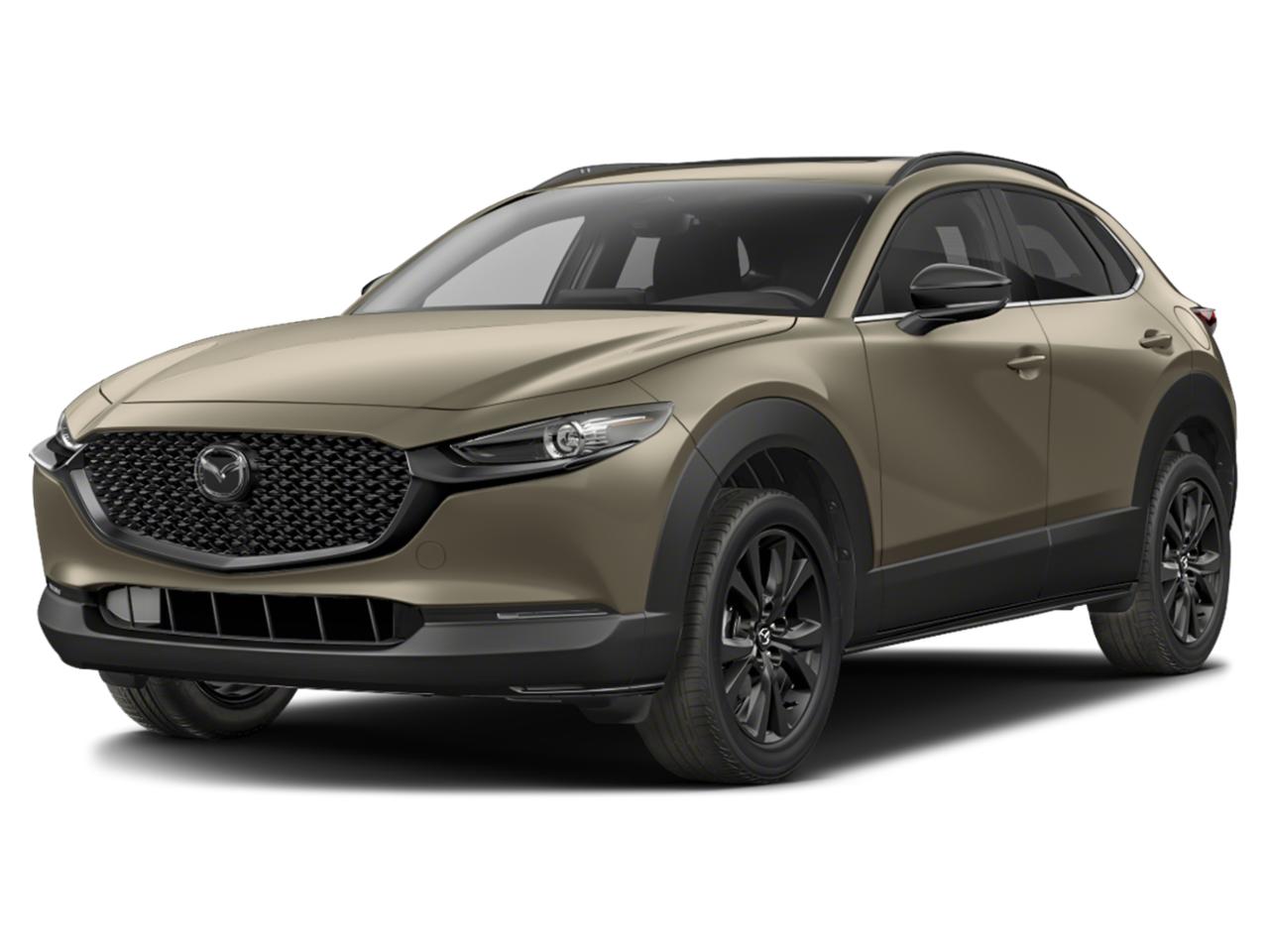 2025 Mazda CX-30 Vehicle Photo in Appleton, WI 54913