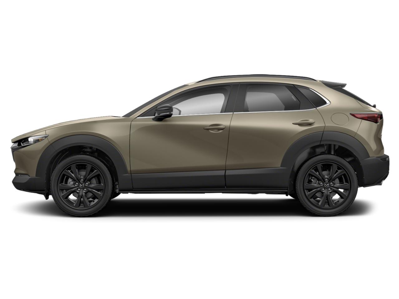 2025 Mazda CX-30 Vehicle Photo in Appleton, WI 54913