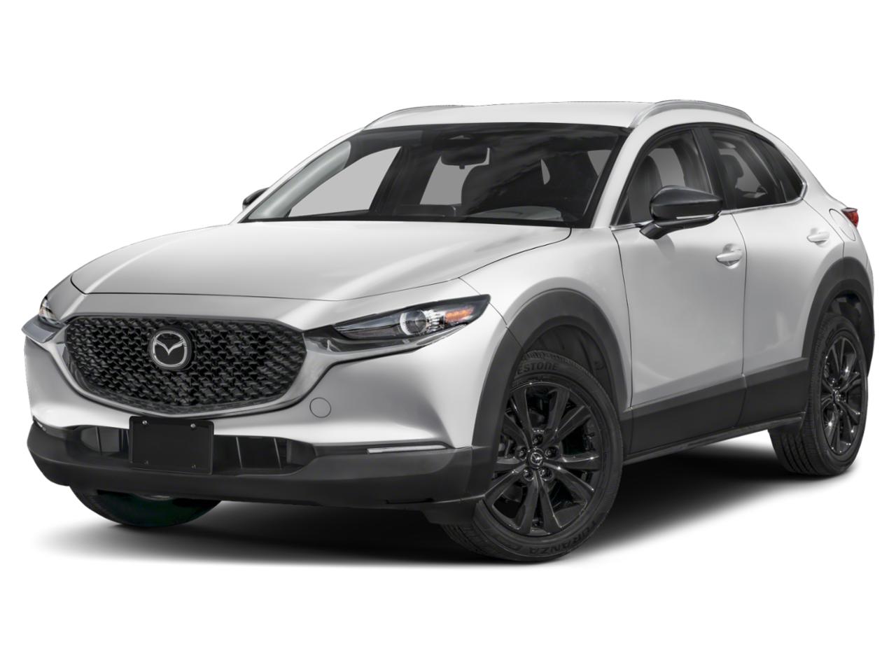 2025 Mazda CX-30 Vehicle Photo in Green Bay, WI 54304