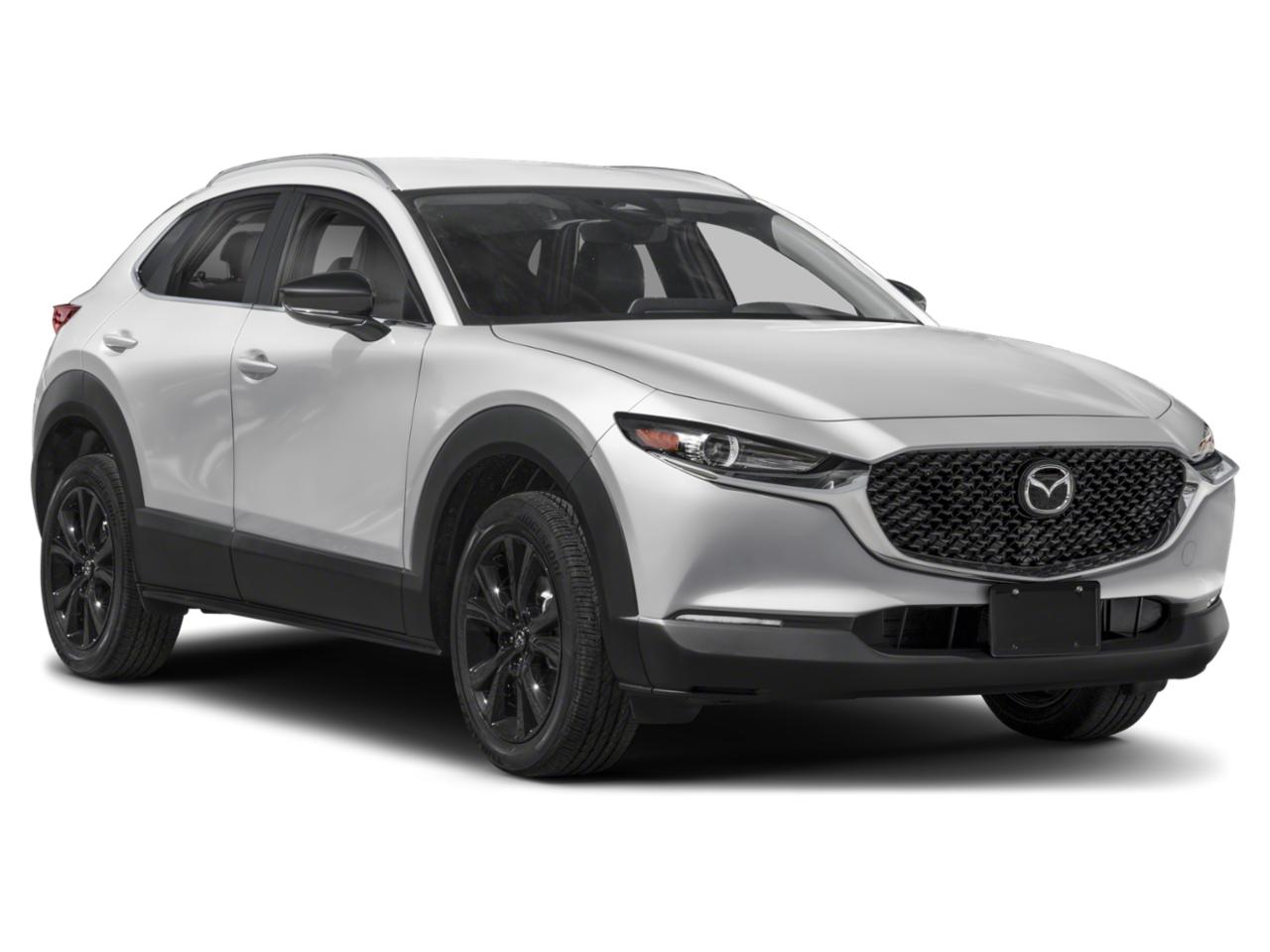 2025 Mazda CX-30 Vehicle Photo in Green Bay, WI 54304